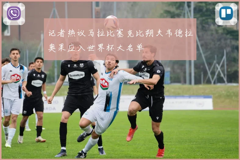 记者热议马拉比塞克比朔夫韦德拉奥果应入世界杯大名单