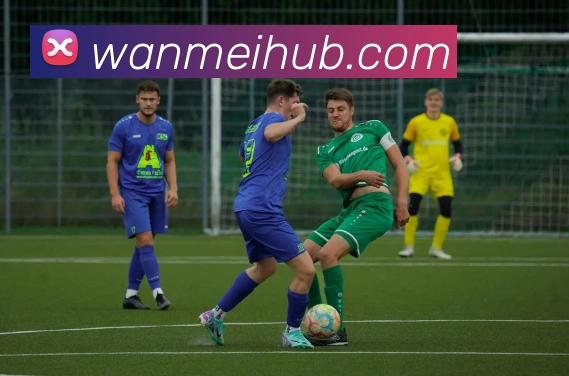 完美体育发展历程